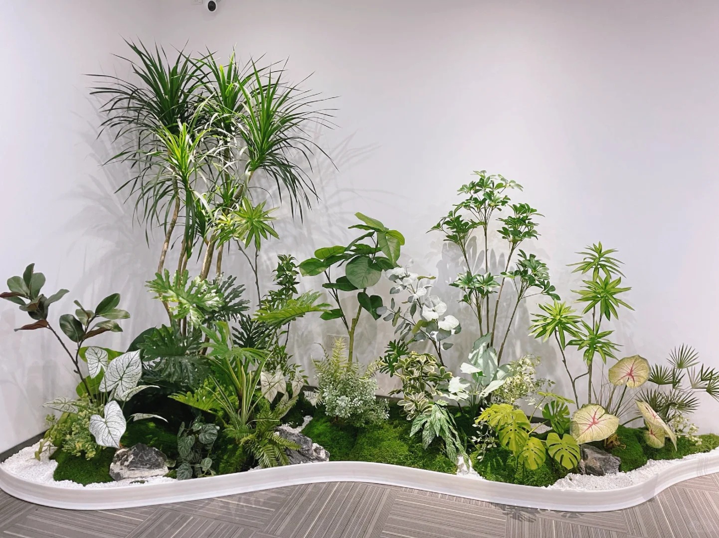 了解宁波奉化植物租摆价格，装点美好空间！