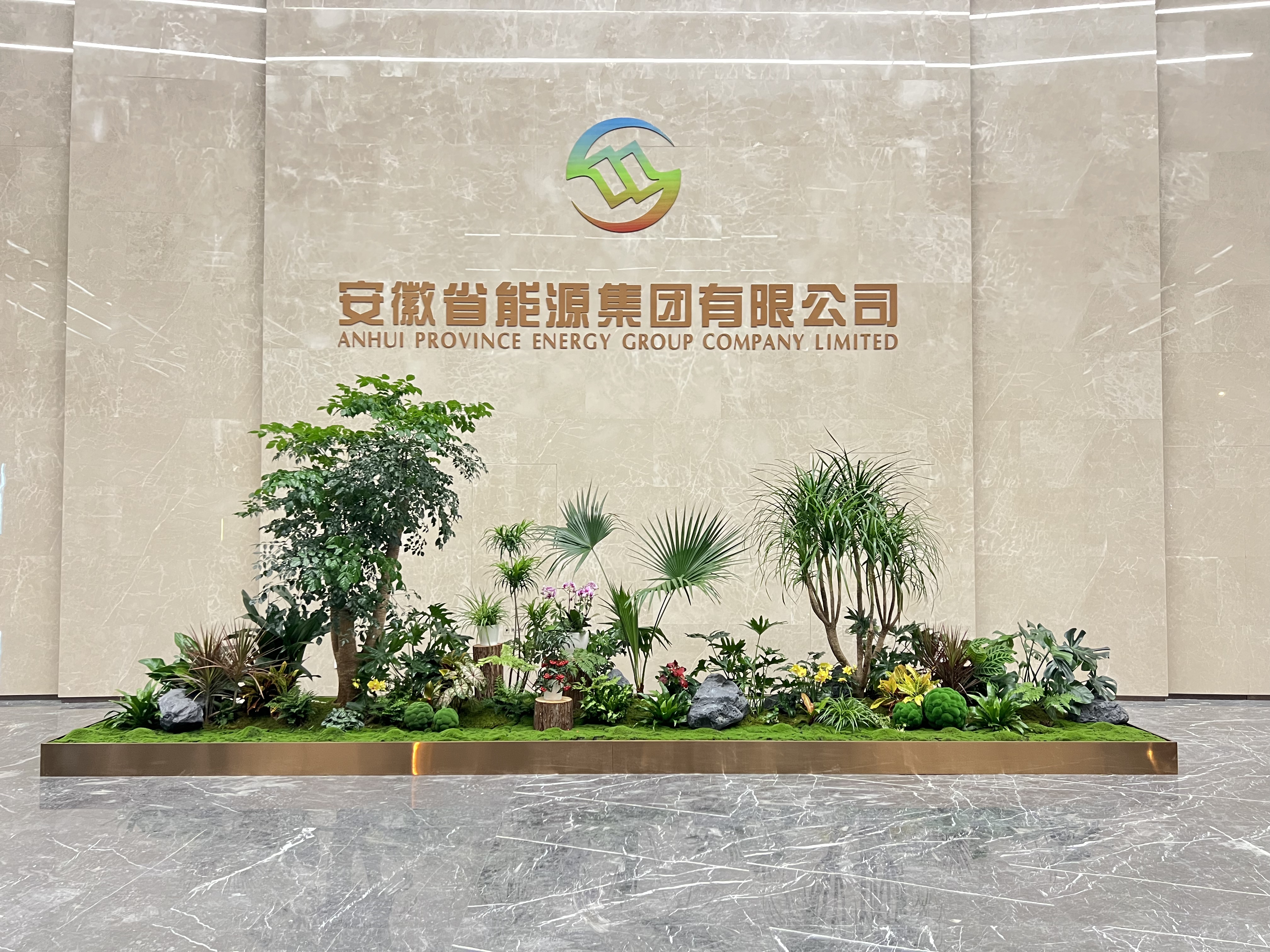 了解余姚花木租赁方案，畅享优质绿植服务